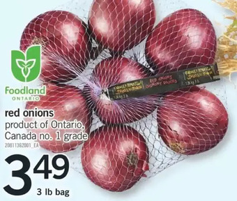 Fortinos Red onions offer