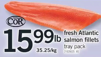 Fortinos Fresh atlantic salmon fillets offer
