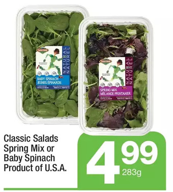Highland Farms Classic salads spring mix or baby spinach offer