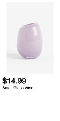 H&M Small glass vase offer
