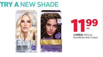 Rexall L' oréal féria or excellence hair colour offer