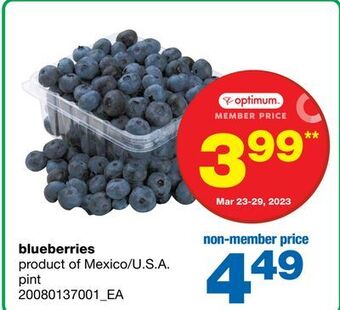 Wholesale Club Blueberries, pint offer