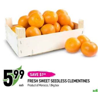 Coppa's Fresh Market Fresh sweet seedless clementines offer