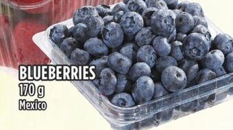 Marché Adonis Blueberries offer