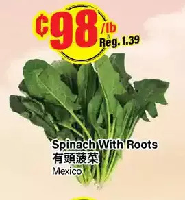 Btrust Supermarket Spinach with roots offer