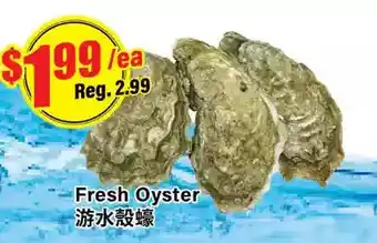 Btrust Supermarket Fresh oyster offer