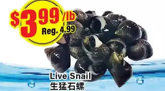 Btrust Supermarket Live snail offer