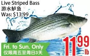 Bestco Food Mart Live striped bass offer