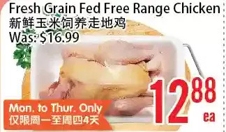 Bestco Food Mart Fresh grain fed free range chicken offer