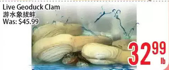 Bestco Food Mart Live geoduck clam offer