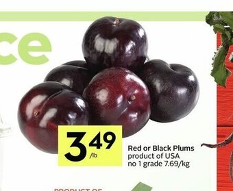 IGA Red or Black Plums offer