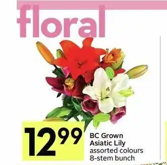 IGA BC Grown Asiatic Lily offer