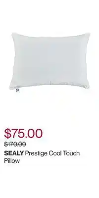 Hudson's Bay Prestige cool touch pillow offer