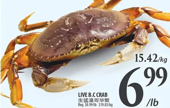 Al Premium Food Mart Live b.c crab offer