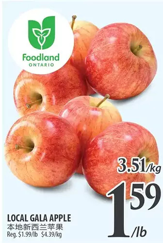 Al Premium Food Mart Local gala apple offer