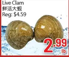 Hong Tai Supermarket Live clam offer