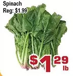 Top Food Supermarket Spinach offer