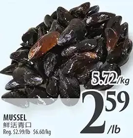 Al Premium Food Mart Mussel offer