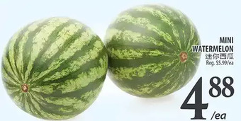 Al Premium Food Mart Mini watermelon offer
