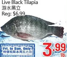Hong Tai Supermarket Live black tilapia offer