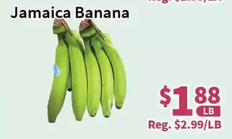 Blue Sky Supermarket Jamaica banana offer
