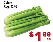 Celery