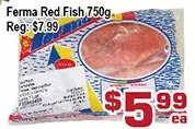 Top Food Supermarket Ferma red fish offer