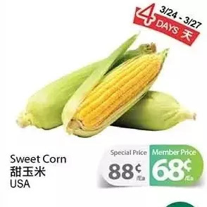 T&T Supermarket Sweet corn offer