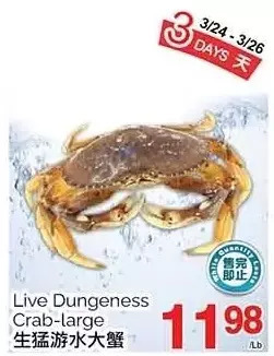 T&T Supermarket Live dungeness crab-large offer