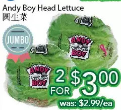 Ample Food Market Andy boy head lettuce offer