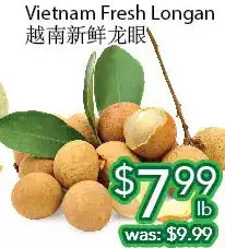 Ample Food Market Vietnam fresh longan offer
