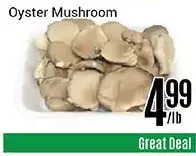 Nations Fresh Foods Oyster mushroom offer