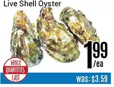 Nations Fresh Foods Live shell oyster offer