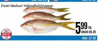 Nations Fresh Foods Fresh medium yellow tail snapper offer