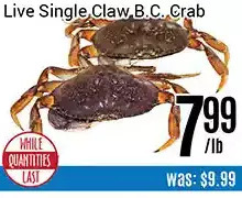 Nations Fresh Foods Live single claw b.c. crab offer