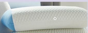 Sleep Country Polar tropic pillow offer
