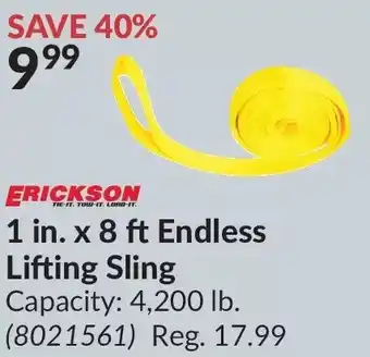 Princess Auto Erickson 1 in. x 8 ft endless lifting sling offer