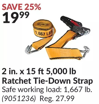Princess Auto Cat 2 in. x 15 ft 5,000 lb ratchet tie-down strap offer