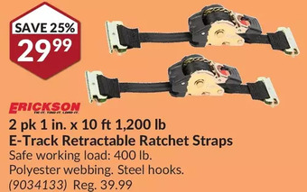 Princess Auto Erickson 1 in. x 10 ft 1,200 lb e-track retractable ratchet straps offer
