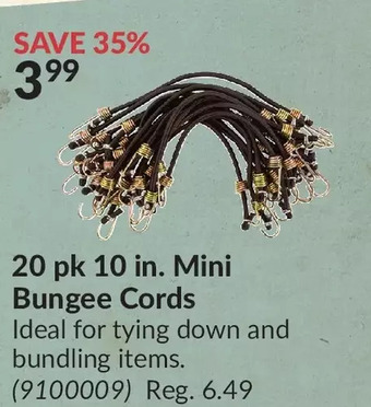 Princess Auto 20 pk 10 in. mini bungee cords offer