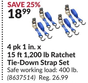 Princess Auto 4 pk 1 in. x 15 ft1,200 lb ratchet tie-down strap set offer