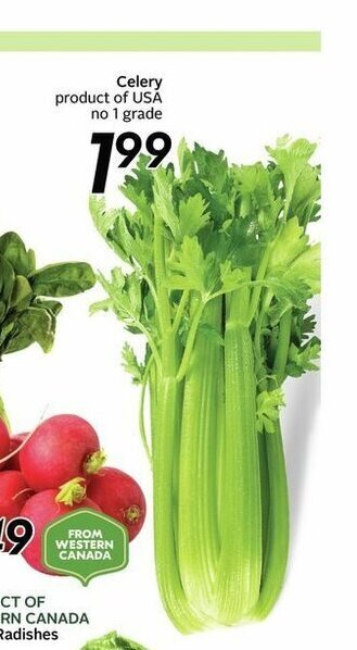 Safeway Celery offer