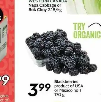 Safeway Blackberries offer