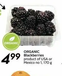 Safeway Organic Blackberries offer