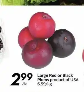 Safeway Large Red or Black Plums offer