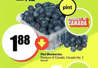 FreshCo Pint blueberries offer
