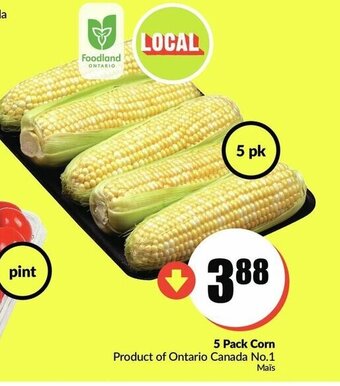 FreshCo 5 Pack corn offer
