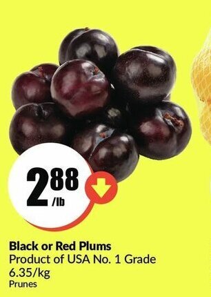 FreshCo Black or red plums offer