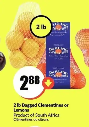 FreshCo 2 lb bagged clementines or lemons offer