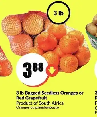 FreshCo 3 lb bagged seedless oranges or red grapefruit offer